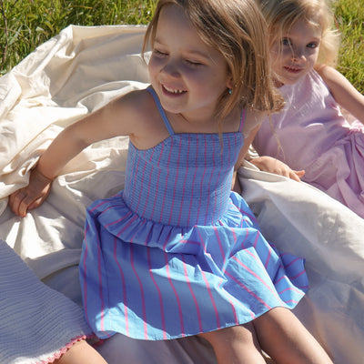 Cleo Stripe Dress - Pink / Blue