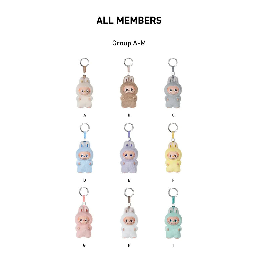 Pop Mart Labubu Pin For Love Series Plush Pendant Blind Box (A-M