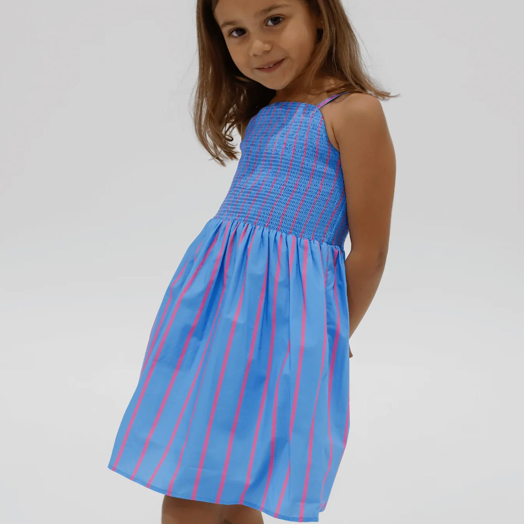 Cleo Stripe Dress - Pink / Blue
